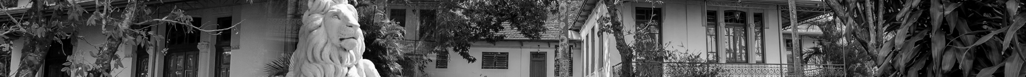 Museu de Arte Decorativa