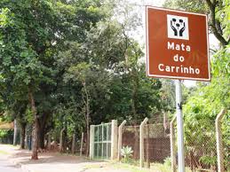 Mata do Carrinho